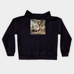 Two chicks just hatched Kids Hoodie